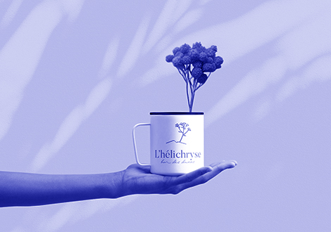 L’hélichryse